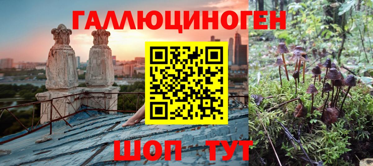 Псилоцибиновые грибы мухоморы Ступино